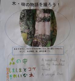 木と俳句(プレゼン).JPG